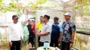 Launching Kebun MBG Terintegrasi, Gubernur Sulsel: SPPG Wajib Serap Pangan Lokal